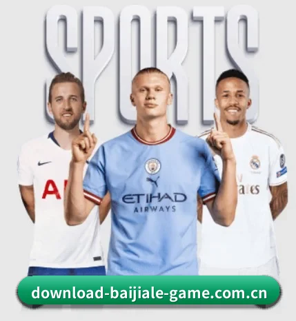 百家乐 APP